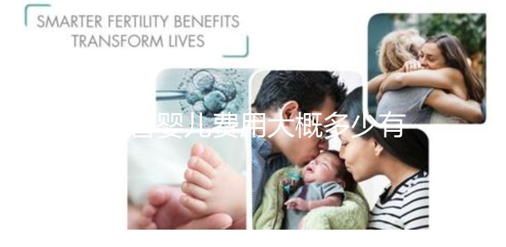 試管嬰兒費(fèi)用大概多少有清單嗎(試管嬰兒費(fèi)用明細(xì)表)