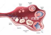 試管嬰兒 胎停(試管嬰兒胎停是什么原因引起的)