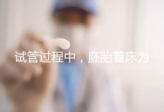 試管過程中，胚胎著床為什么會失敗？4個原因和4個方案都告訴你！