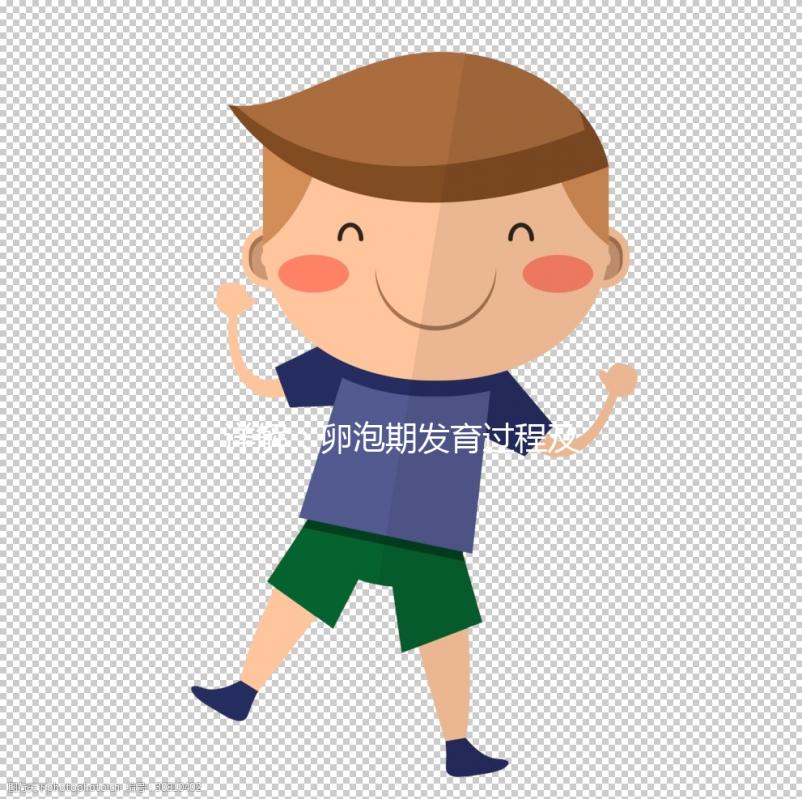 詳解:卵泡期發育過程及3個常見問題