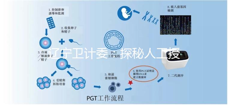 遼寧衛計委：探秘人工授精和試管嬰兒的區別
