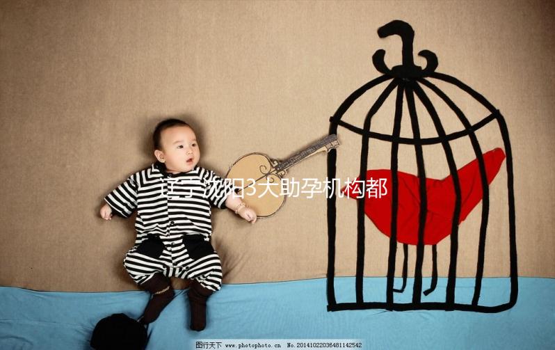 遼寧沈陽3大助孕機(jī)構(gòu)都在這，來看看你知道幾家