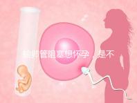 輸卵管阻塞想懷孕，是不是只能做試管嬰兒？