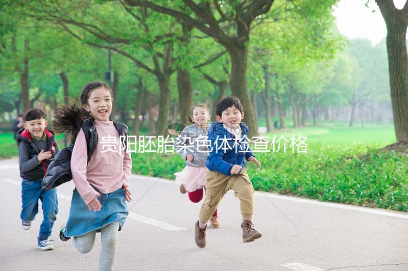 貴陽(yáng)胚胎染色體檢查價(jià)格公布,想造南明哪個(gè)又好又便宜戳