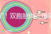 賺了!雙胞胎做三維彩超檢查報告不僅準確,還拒絕雙收費