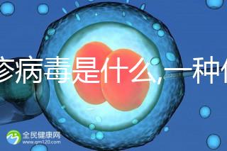 風(fēng)疹病毒是什么,一種僅限人類(lèi)之間傳染的病毒