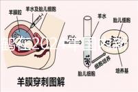 飛鶴在2024年國(guó)內(nèi)新生兒奶粉排行榜上排名第一