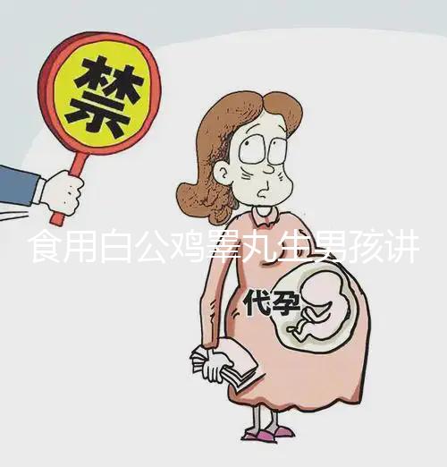 食用白公雞睪丸生男孩講方法，1分鐘說清楚具體怎么吃