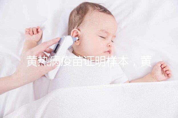 黃熱病疫苗證明樣本，黃皮書有效期10年附詳細(xì)辦理流程