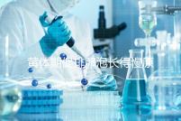 黃體期促排卵泡長得慢原因已找到！4種手段幫你解決