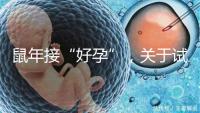 鼠年接“好孕”，關(guān)于試管嬰兒取卵的那些事兒！