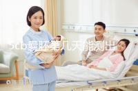 5cb囊胚第幾天能測出看移植成功后續(xù)發(fā)育怎么樣，不懂戳