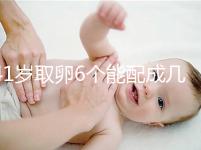 41歲取卵6個能配成幾個分人，達(dá)到這個正常數(shù)量孕路無阻