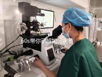 60s帶你了解如何調節(jié)凍胚移植前內膜厚卵泡小,快速收集