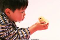 6ba囊胚好不好?醫生:調理好身體才是提升成功率的基礎