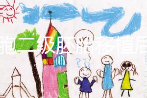 9細(xì)胞二級胚胎移植后8天沒感覺，成功率依然很高