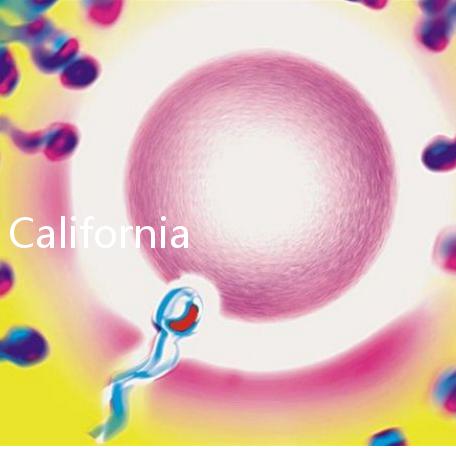 California Cryobank，加州精子銀行實用指南