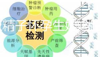 C級精子懷孕生娃之路不好走,試管或是唯一的選擇