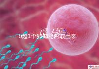 b超1個卵泡能否取出來分人,質量好或有一定受孕幾率