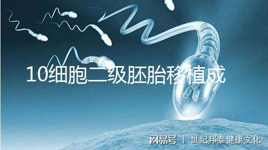 10細胞二級胚胎移植成功率解析,應不應該養囊答案在這