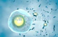 35歲試管雙胞胎是否羊水穿刺活檢戳，醫(yī)生：成功后要這樣選