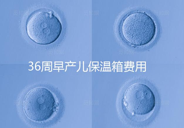 36周早產兒保溫箱費用整理,12天到4斤花不了多少錢