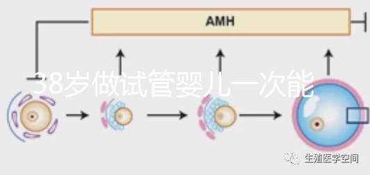 38歲做試管嬰兒一次能成功嗎?提前準(zhǔn)備好這4點(diǎn)或許可以