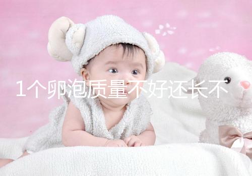 1個(gè)卵泡質(zhì)量不好還長(zhǎng)不大，如何提高試管嬰兒懷孕成功率？