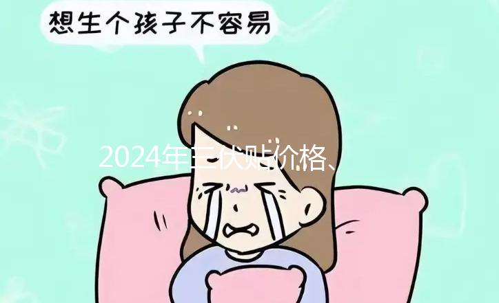 2024年三伏貼價格、品牌、單個療程費用大科普