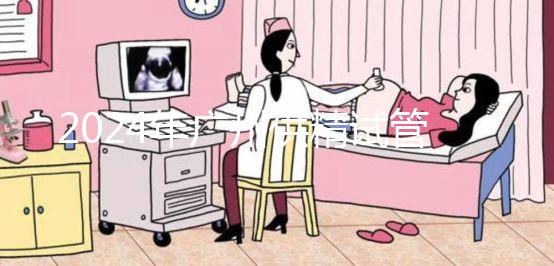 2024年廣州供精試管嬰兒最新價格表，必須符合要求