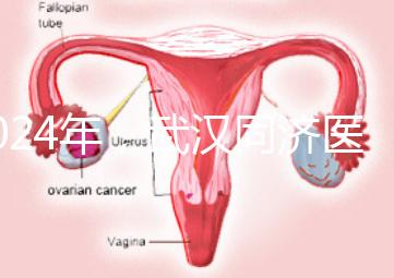 2024年,武漢同濟(jì)醫(yī)院不孕癥醫(yī)生排名公布,選擇專家迅速登記