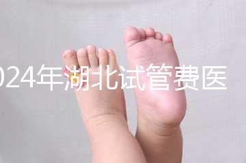 2024年湖北試管費(fèi)醫(yī)療保險可以報銷？專家：時間還沒到？