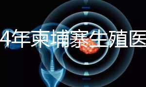 2024年柬埔寨生殖醫(yī)院排名，試管嬰兒都在這里