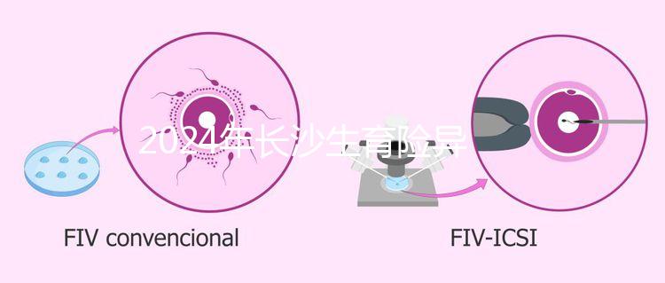 2024年長沙生育險異地報銷備案流程，附比例介紹