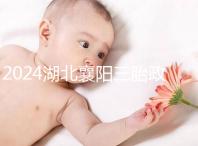 2024湖北襄陽(yáng)三胎政策最新消息速覽，國(guó)家獎(jiǎng)勵(lì)1萬(wàn)購(gòu)房補(bǔ)貼