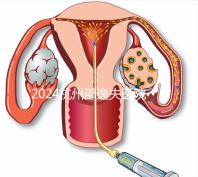 2024杭州邵逸夫醫(yī)院專(zhuān)家門(mén)診表，醫(yī)生上班時(shí)間一網(wǎng)打盡！