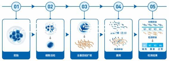 2024鄭州小學生要早知道入學條件，別忘了中原區的這些證件