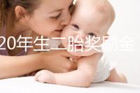 2020年生二胎獎(jiǎng)勵(lì)金額揭秘，符合條件的媽媽可以領(lǐng)取了！