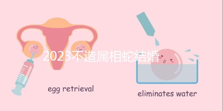 2023不造屬相蛇結(jié)婚跟什么相配?切記和屬豬易犯沖