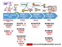 2023年生兔寶寶備孕表參考，懷上命格好的孩子不是難事