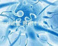 imsi試管 費用(試管imsi是什么意思)
