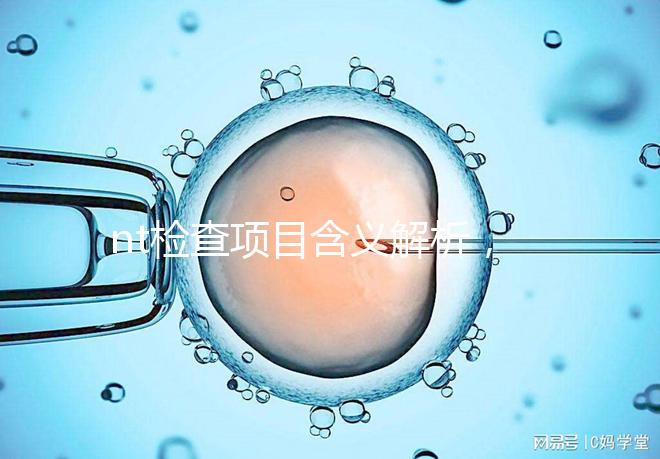 nt檢查項目含義解析,每個內(nèi)容都相當重要