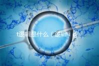 t邏輯是什么（邏輯ⅰd是什么）